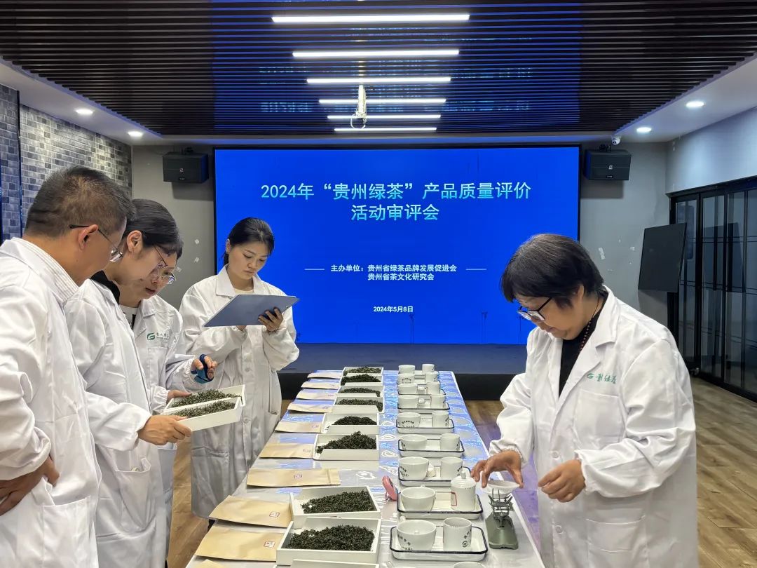 2024年“贵州绿茶”产品质量评价活动审评会在贵阳举行
