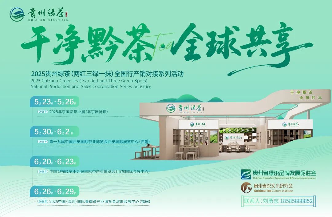 非遗活化的苗岭样本:毛鹃与雷山银球茶的守正创新之道