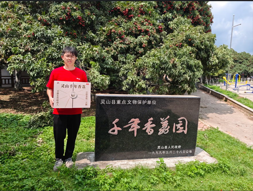 1300岁的荔枝树结的果熟了！京东快递独家承运