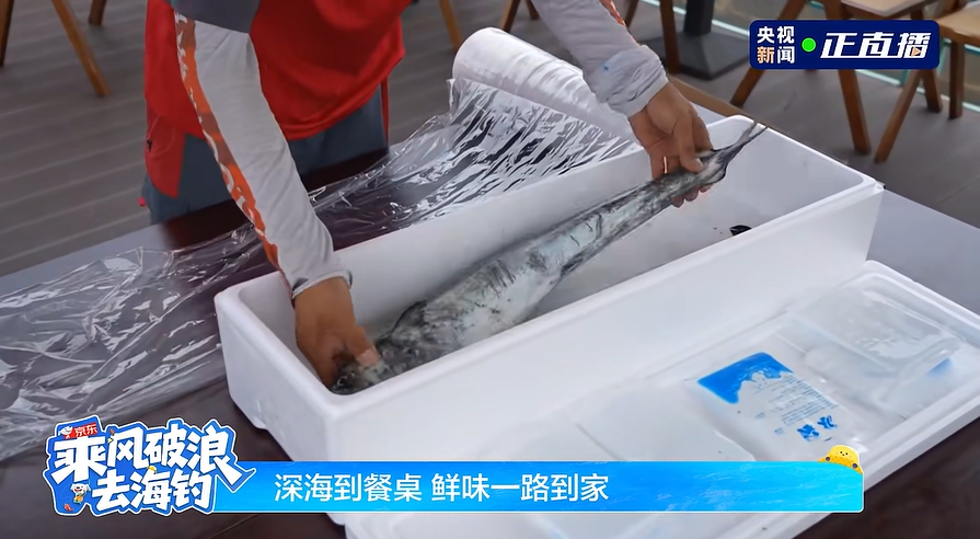 亮相央视！京东快递助力獐子岛海钓，产地海鲜最快24小时鲜达全国