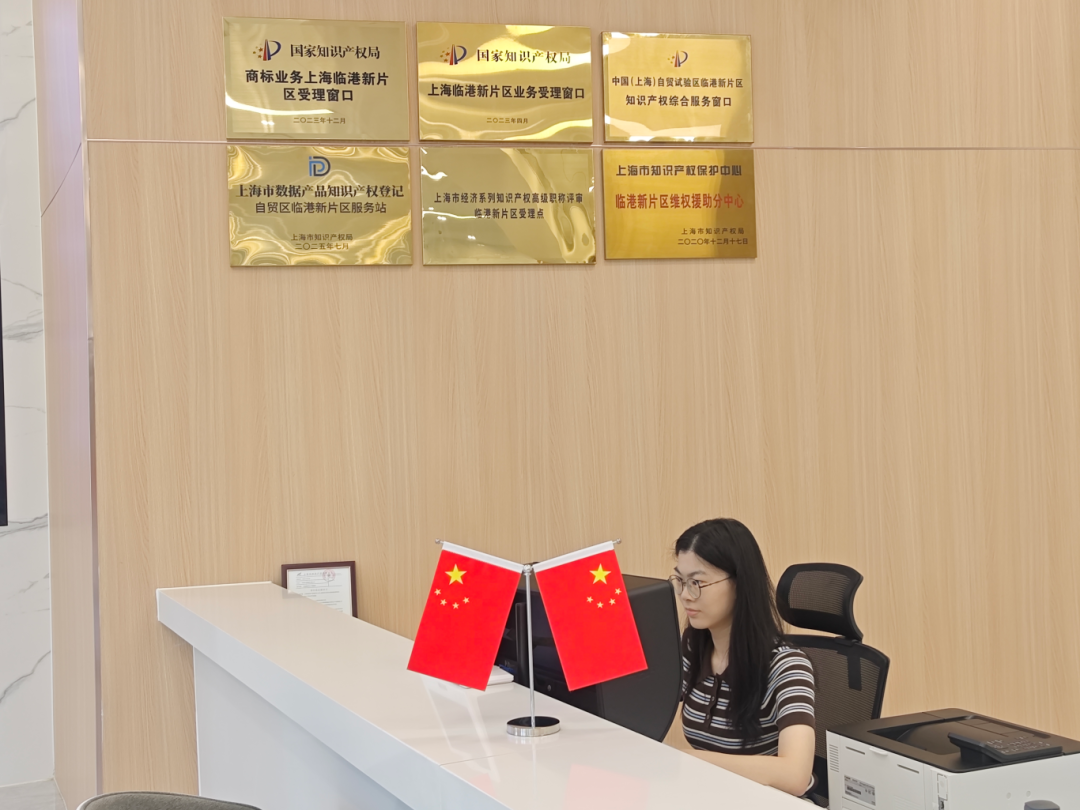 上海首个跨境“来数加工”数据产品知识产权登记在临港新片区完成