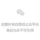 行业首张!卡布荣获ISO 56005分级评价证书
