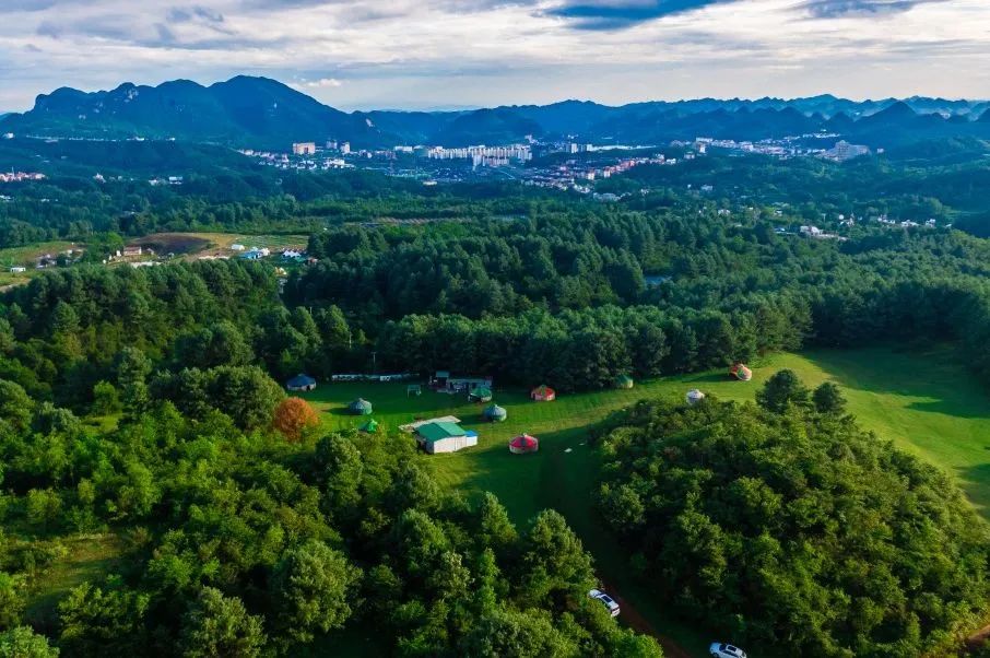 逐梦山野 纵享狂欢 | 2025中国·百里杜鹃第六届越野跑挑战赛超燃开跑