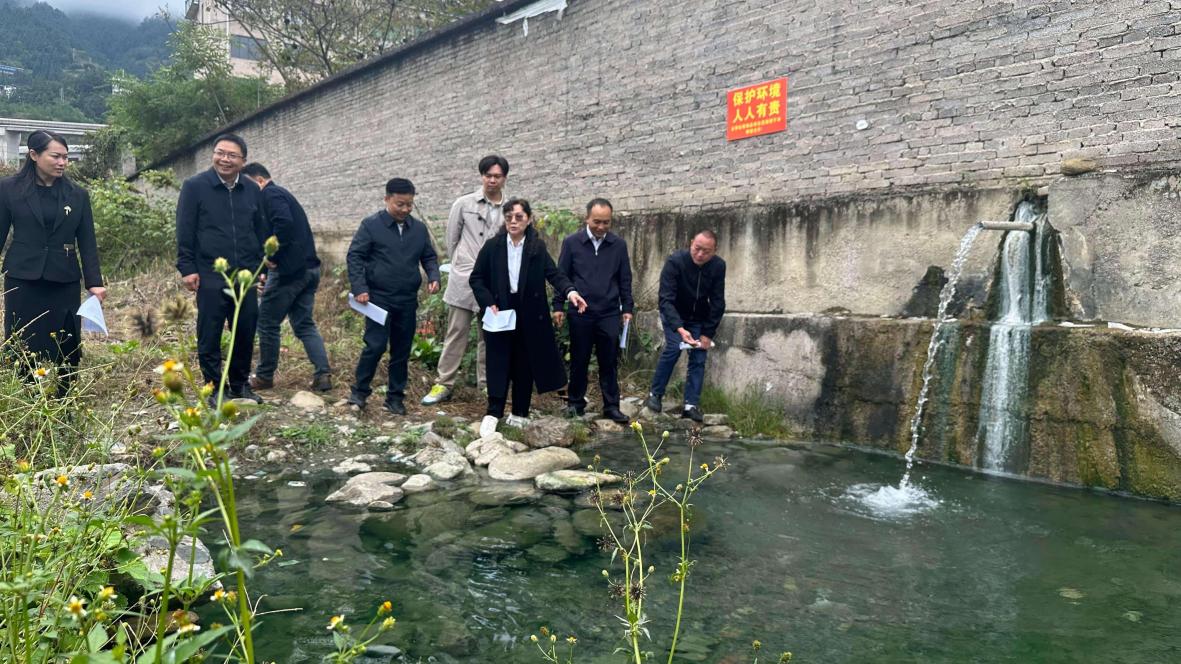 创新举措引雁归 乐创黔东南“雁回东南”行动实现良好开局