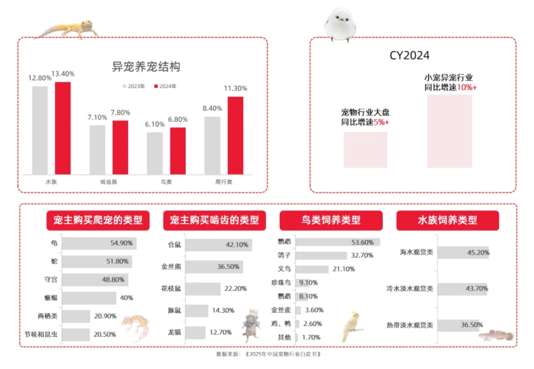 2026宠物行业三足鼎立，贵州百草轩引领国货消毒新风口
