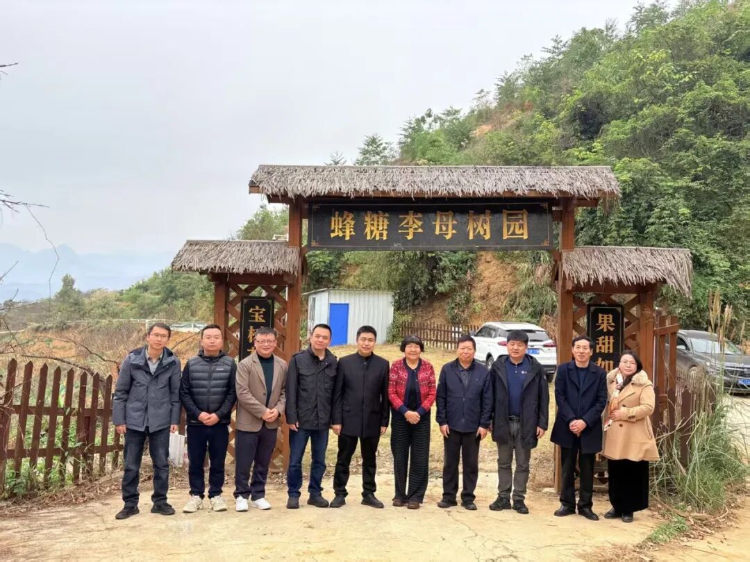 中国起源地品牌“中华源字号”蜂糖李产品品牌评定工作会议召开