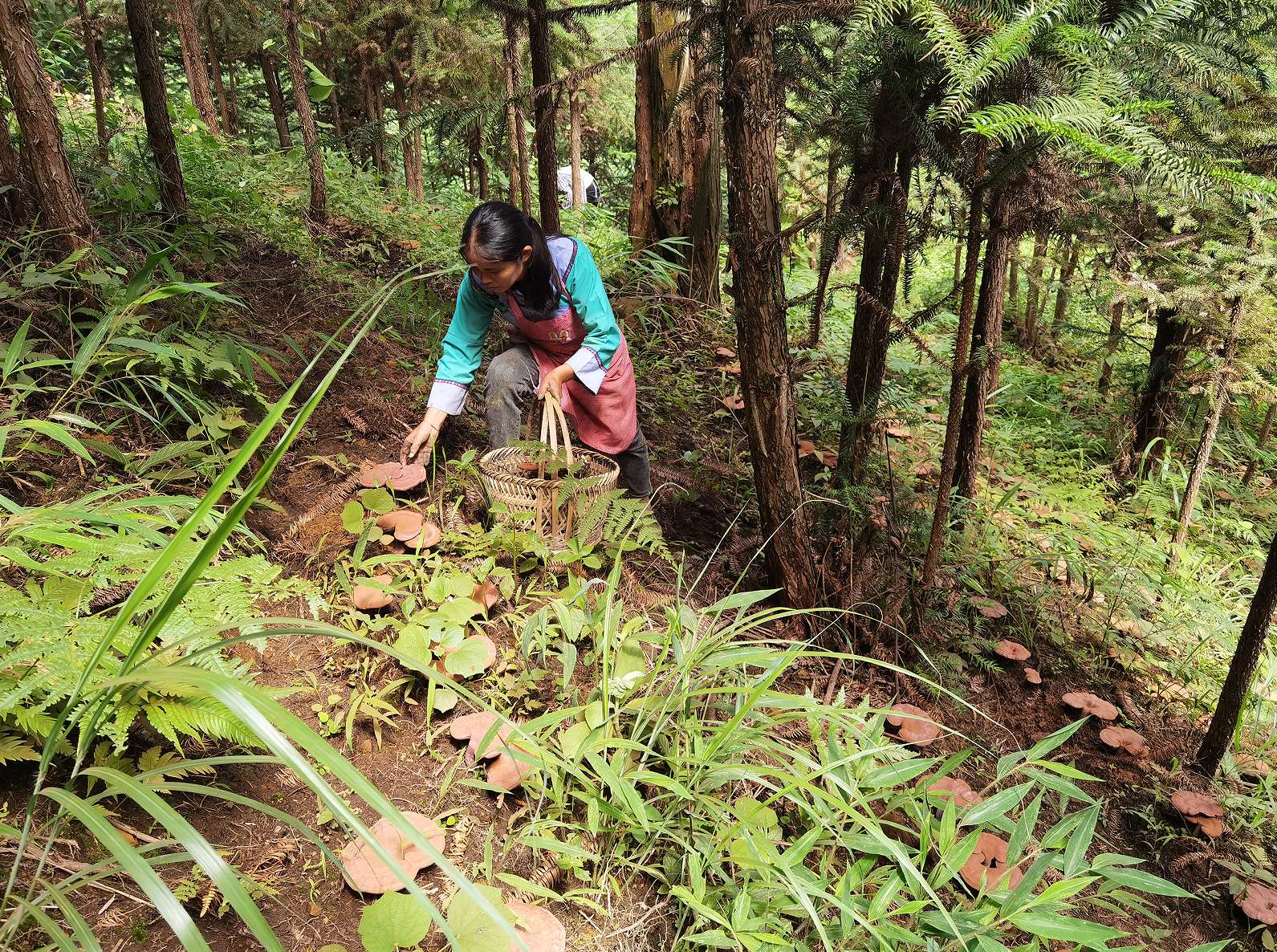 从黔地深山到全球舞台：贵州中科分子以科技之力，让“黔货”成健康优品