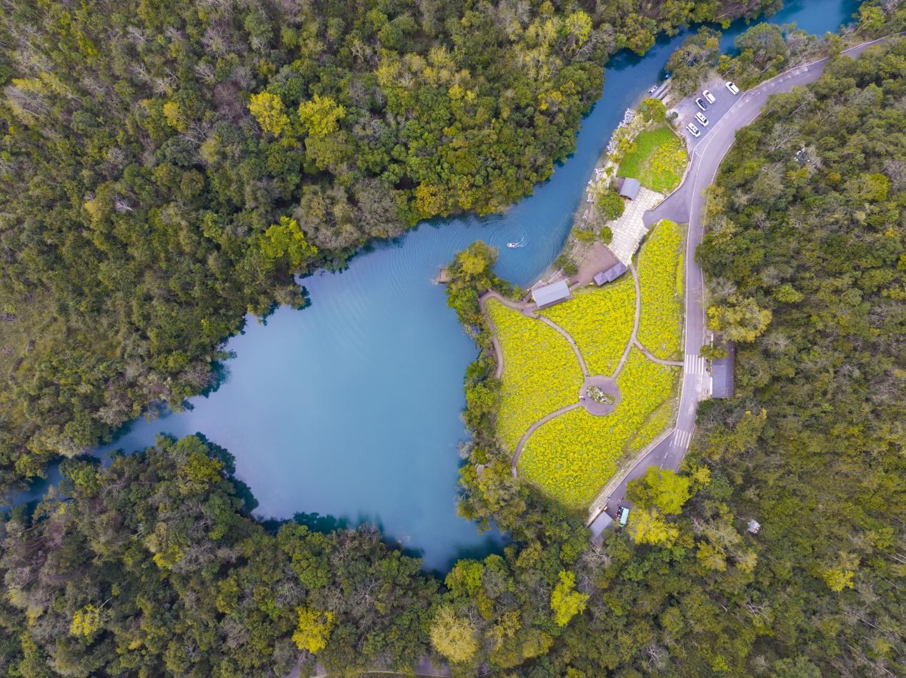 新年首战即决战！邮储银行1.7亿元助“绿宝石”焕新