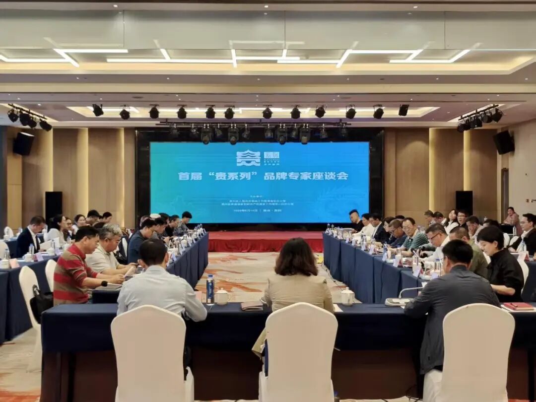 首届“贵系列”品牌专家座谈会在贵阳召开贵州省品牌建设促进会积极建言献策
