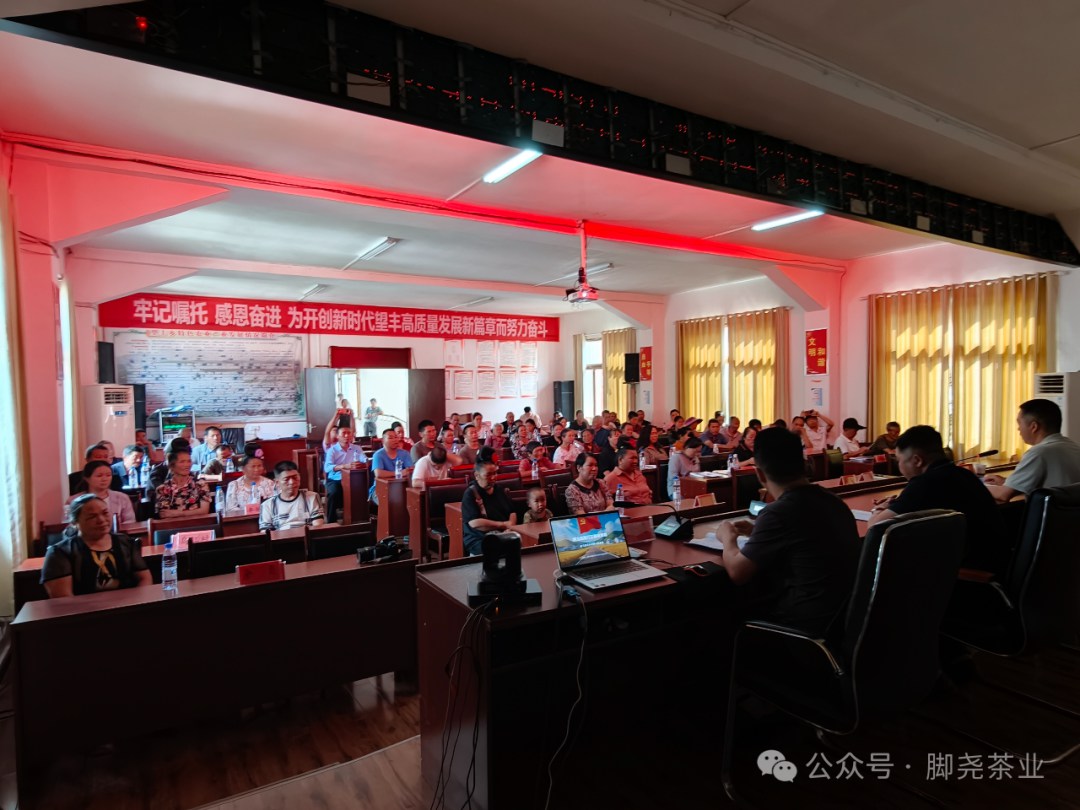 茶技培训送下乡 赋能茶山促振兴——脚尧茶业赴望丰乡开展茶园管护技能培训
